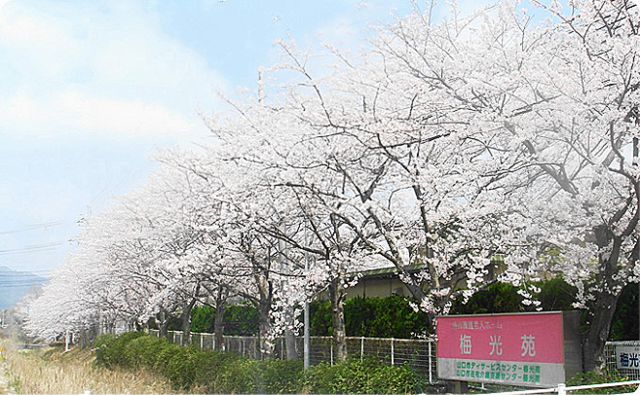 社会福祉法人相清福祉会　特別養護老人ホーム梅光苑の求人・転職情報