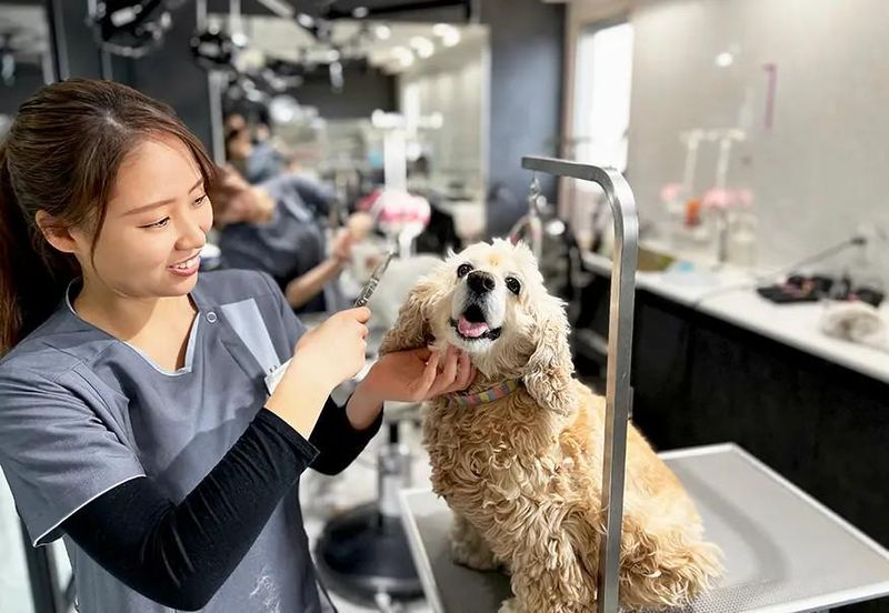 海浜動物医療センターのアルバイト・バイト求人情報-10