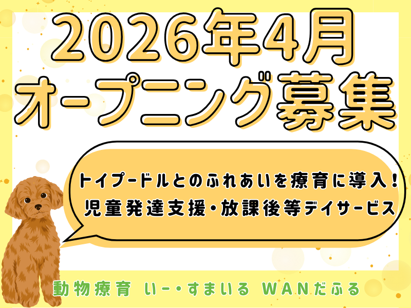 株式会社イー・スマイルの求人・転職情報