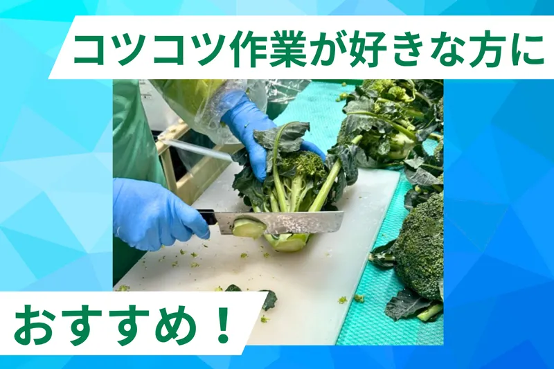 イオンネクスト株式会社 八王子CFCのアルバイト・バイト求人情報