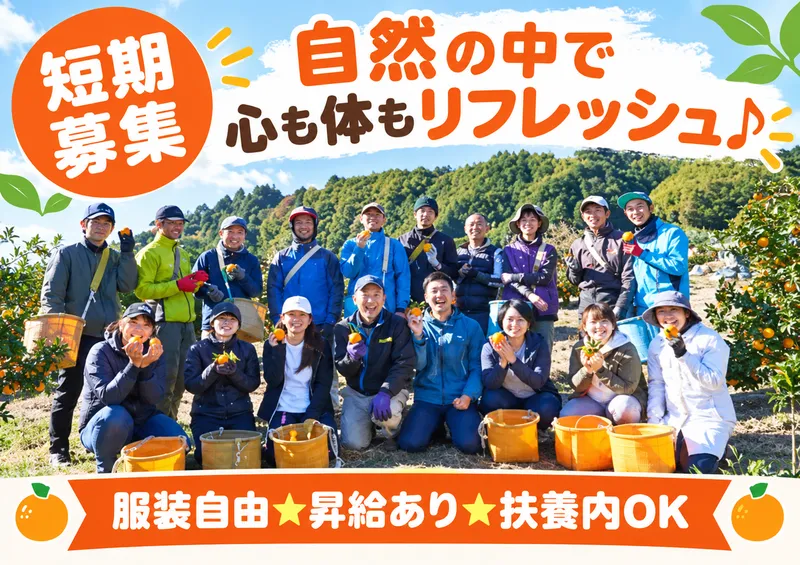 青木農園のアルバイト・バイト求人情報