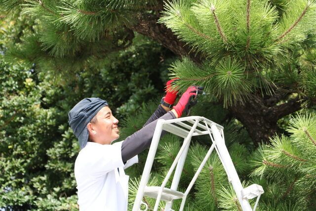 株式会社豊橋園芸ガーデンの求人・転職情報