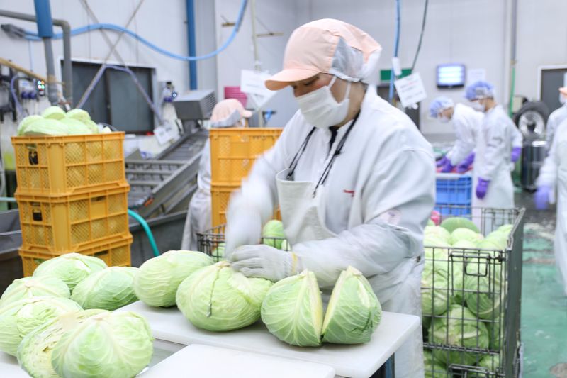 株式会社矢場とんの求人・転職情報