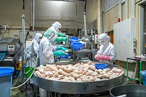 マルハ物産グループの求人・転職情報