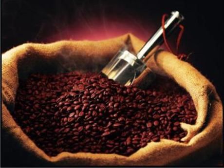 三本珈琲(株)　日本橋支店:商品管理