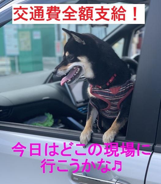 株式会社東和コーポレーション湘南営業所【中央林間】のアルバイト・バイト求人情報-04