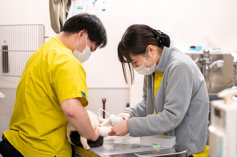 株式会社高度医療ＣＴセンター林宝どうぶつ病院-0001の求人・転職情報