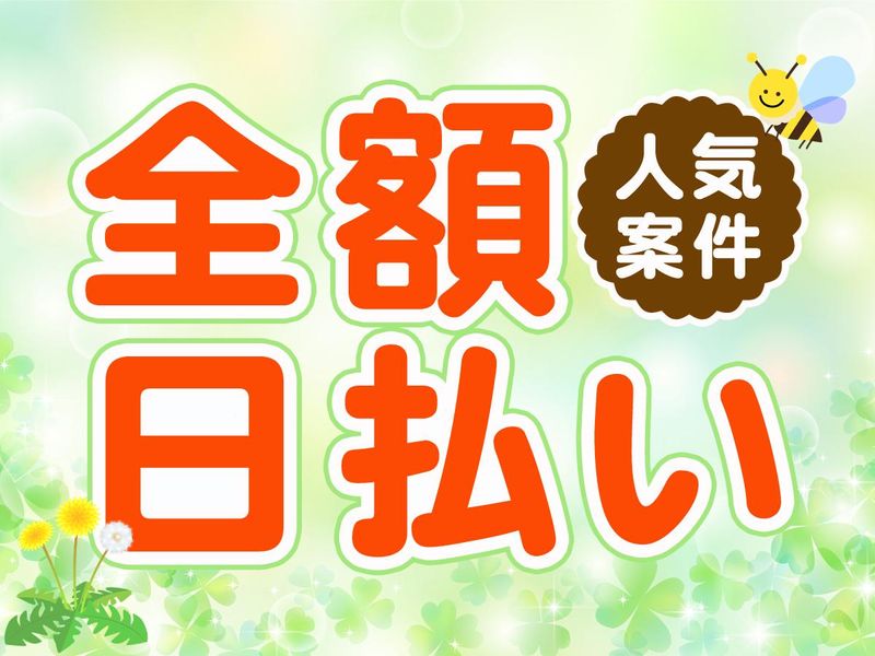 テイケイワークス株式会社　つくば支店/TW129の求人情報
