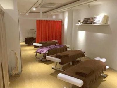 株式会社パレッドの求人・転職情報