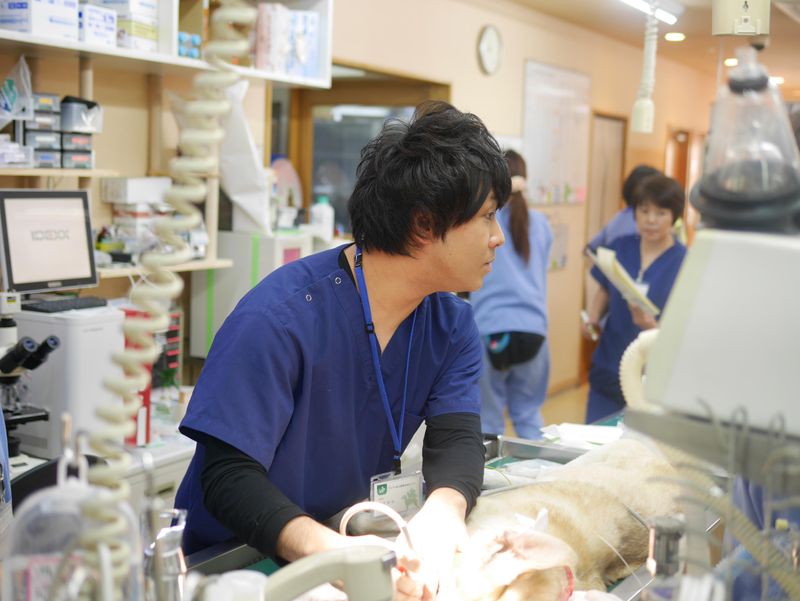 アニファ動物病院 お花茶屋病院のアルバイト・バイト求人情報-03