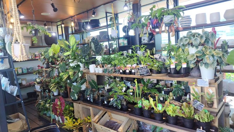 赤松種苗株式会社のアルバイト・バイト求人情報-04