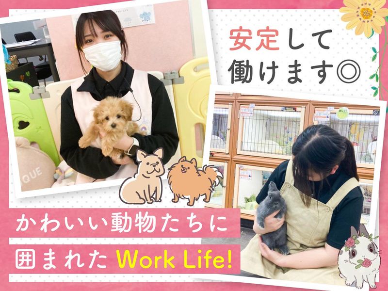 株式会社ラビータ　ラビータ東古松店の求人・転職情報