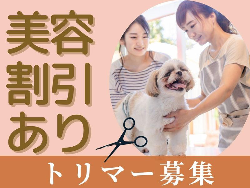 有限会社ライズの求人・転職情報