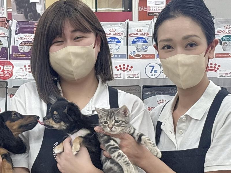 求人画像
