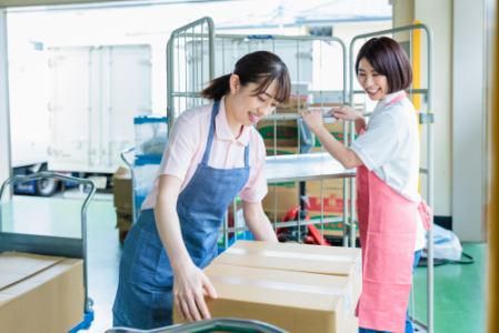 株式会社ファミリアラフ【tsi】印西市鹿黒南の派遣求人情報