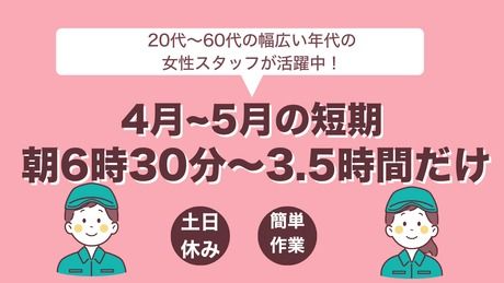 株式会社ティー・シー・シーの派遣求人情報