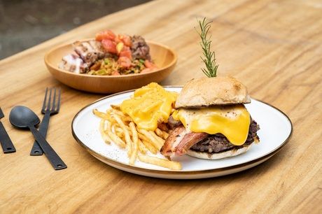 株式会社トランジットホールディングスの求人・転職情報