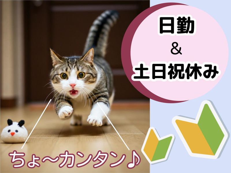 大牟田市新開町/株式会社リンクフィールド福岡営業所のアルバイト・バイト求人情報-02