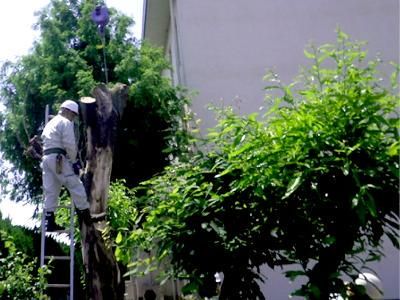 株式会社西口造園のアルバイト・バイト求人情報-02