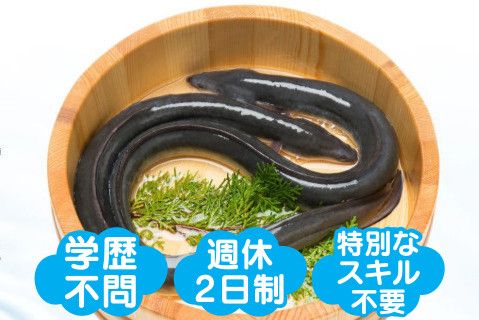 株式会社くまもと新星(ja_jp)の求人・転職情報