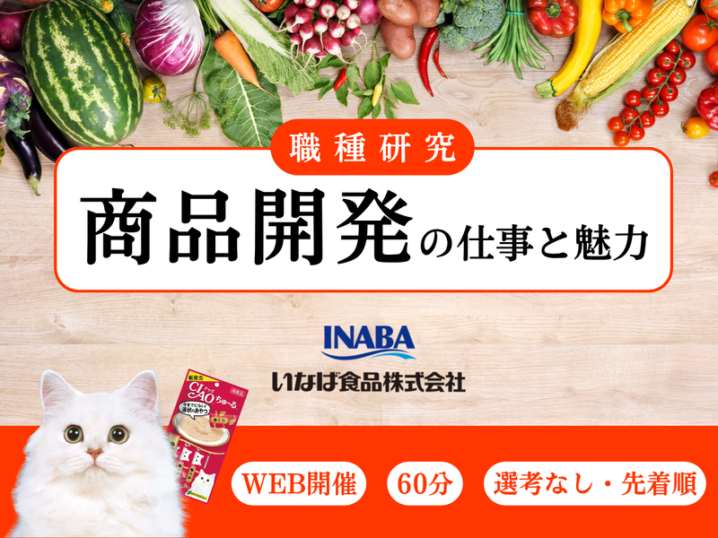 WEB 職種研究/商品開発 ヒット商品を創造する仕事/27卒