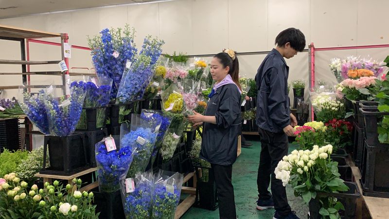 株式会社ドリームのアルバイト・バイト求人情報-04