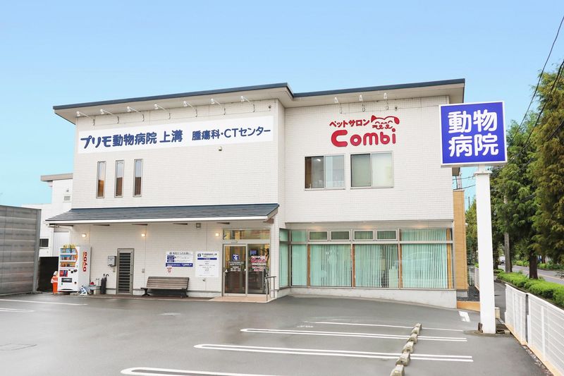 株式会社ＪＰＲの求人・転職情報