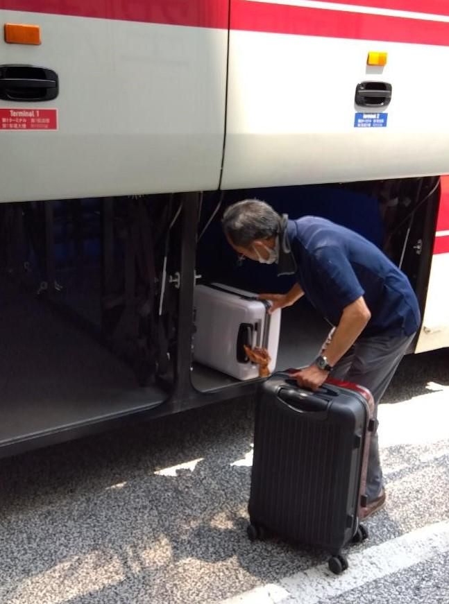 東京警備保障株式会社の求人・転職情報