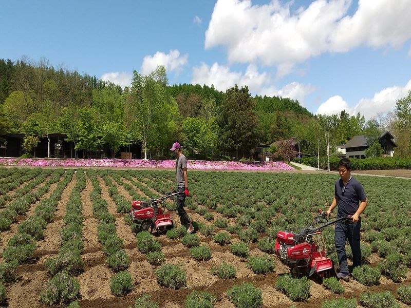 有限会社ファーム富田の求人・転職情報