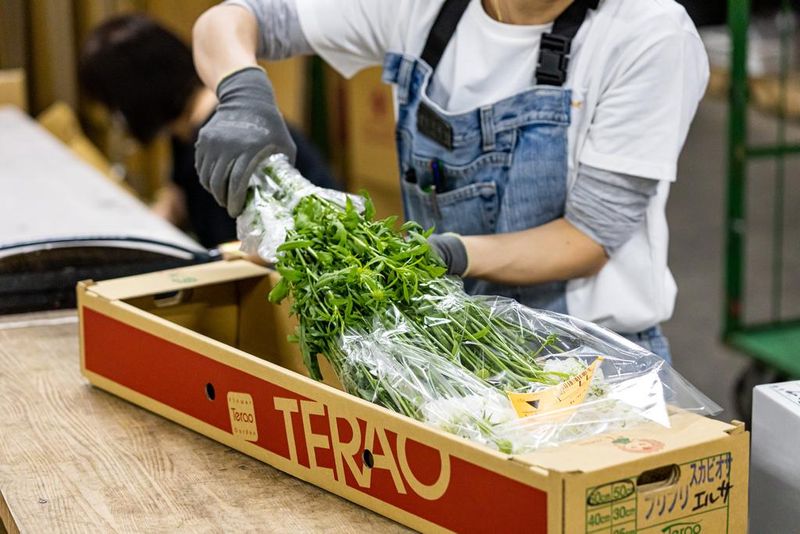 株式会社ハナスタ　葛西営業所