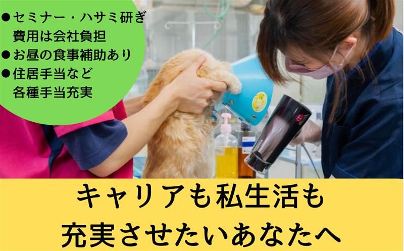 有限会社アサップの求人・転職情報