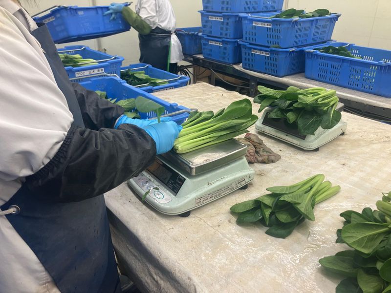 JA兵庫六甲　神戸西営農総合センター