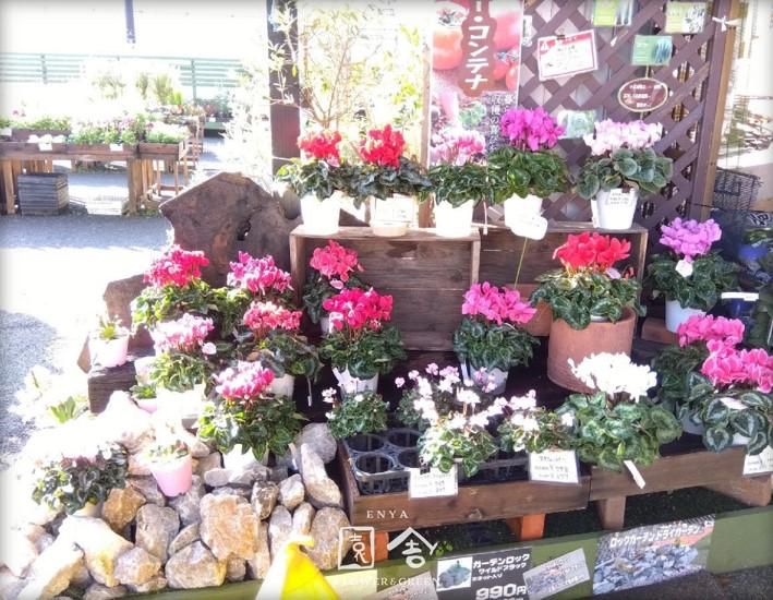 有限会社　園舎　奈良店のアルバイト・バイト求人情報-02