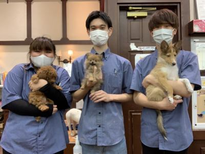 パレハ防府店のアルバイト・バイト求人情報-04