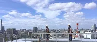 三峯産業株式会社のアルバイト・バイト求人情報
