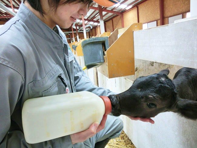 株式会社津別ファームの求人・転職情報