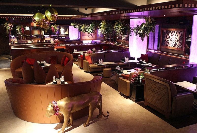 ZOO 神戸のアルバイト・バイト求人情報-21