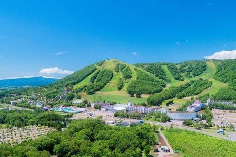 加森観光株式会社の求人・転職情報