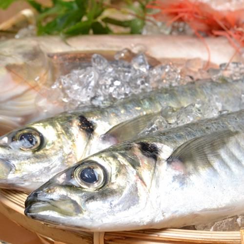 おっ魚っ魚(おっとっと) 　高蔵寺店のアルバイト・バイト求人情報-04