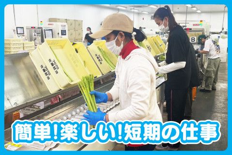 熊本県農業協同組合中央会のアルバイト・バイト求人情報