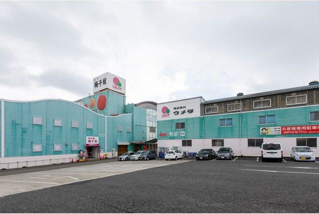 株式会社ウメタの求人・転職情報