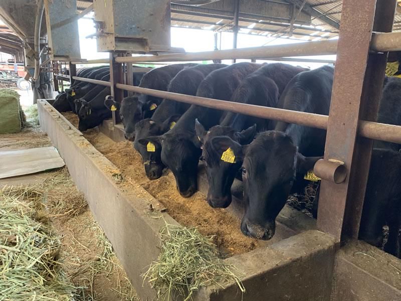 有限会社手塚畜産のアルバイト・バイト求人情報-04