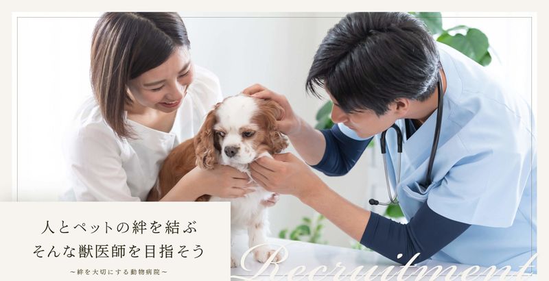 有限会社たむら動物病院の求人・転職情報