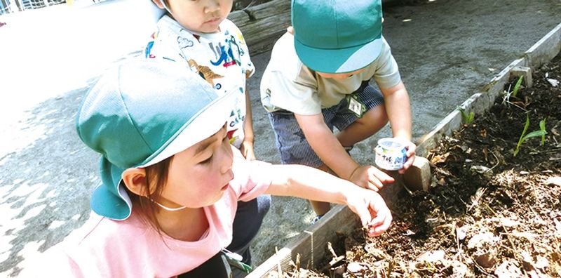 大泉学園幼稚園の求人・転職情報
