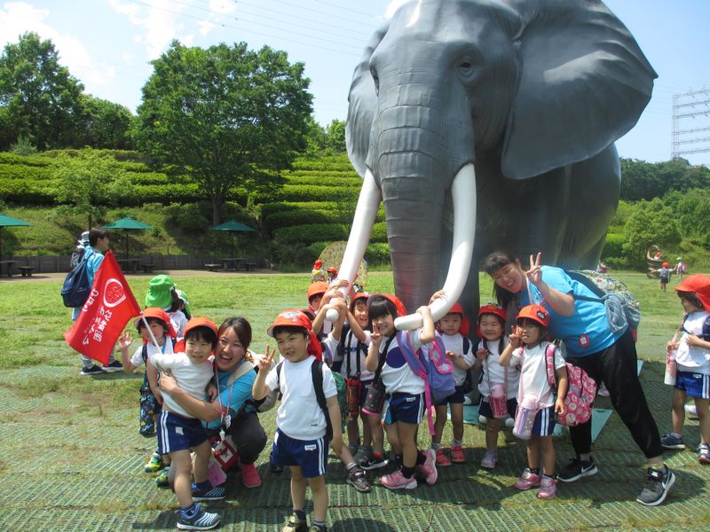モミヤマ幼稚園・保育所の派遣求人情報
