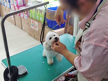 Coo&RIKU(クーアンドリク)　名古屋みなと店のアルバイト・バイト求人情報-06
