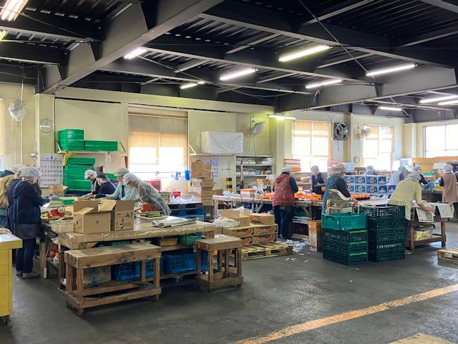 株式会社キョクイチロジ-0002の求人・転職情報