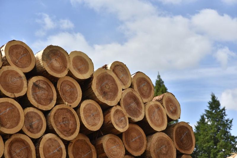 株式会社エフバイオスの求人・転職情報