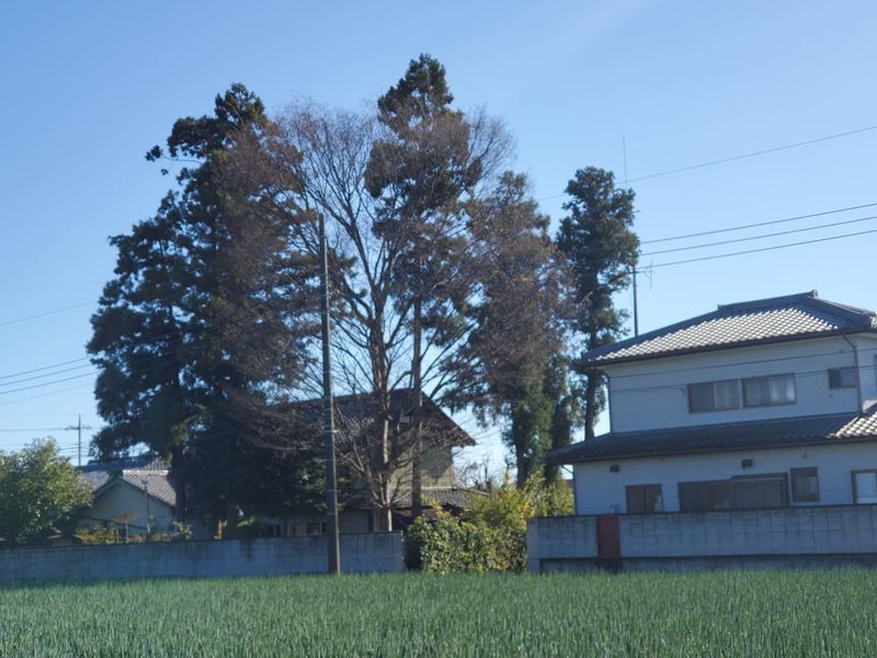 山本造園サービスのアルバイト・バイト求人情報-05