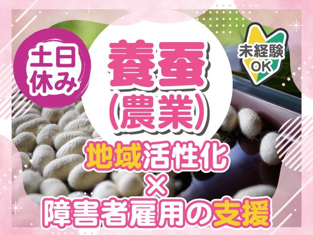 パーソルダイバース株式会社の求人・転職情報